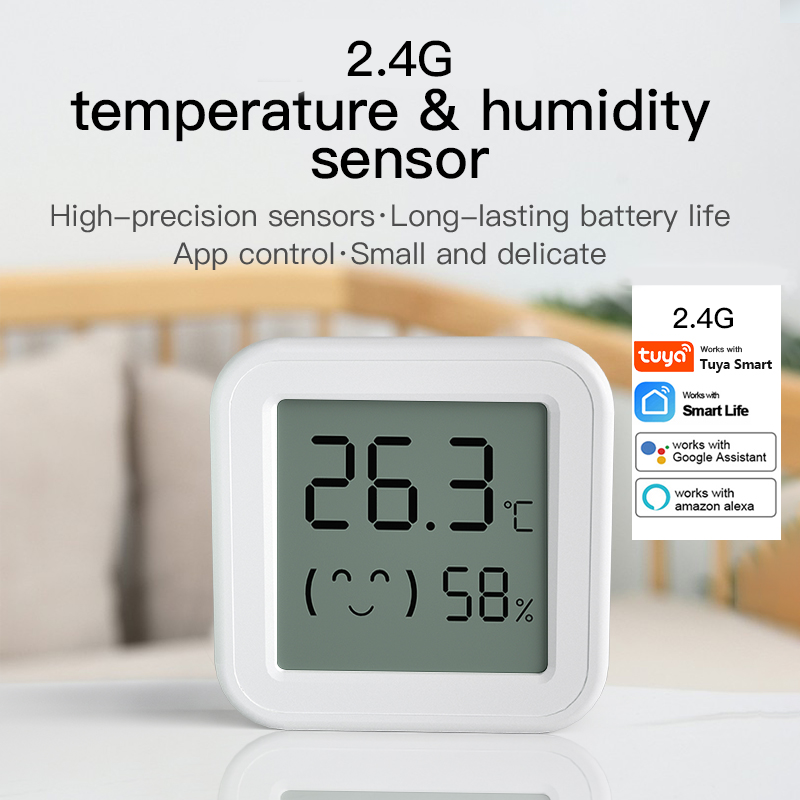 Digital Hygrometer Probe - Bluetooth Temperature Humidity Sensor Mini LCD