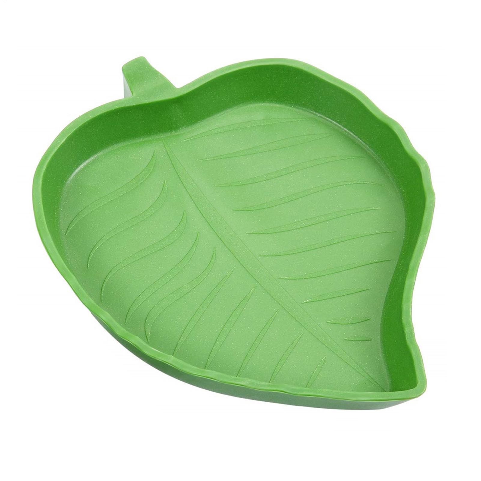Water Dish Reptile - Reptile Food Water Bowl Reptile Food