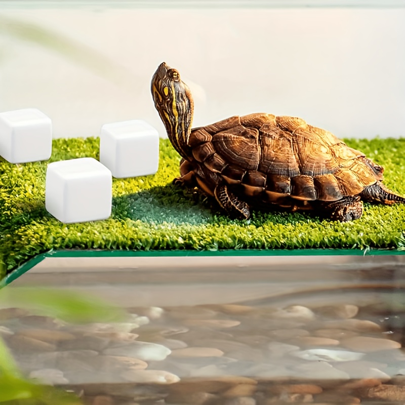 6Pcs For Reptile Grinding Tort - огляд і ціна Calcium Powder Reptile