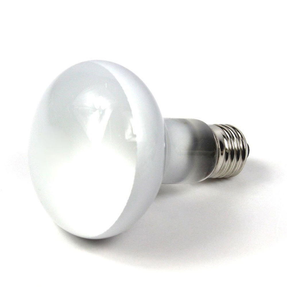 Lizard Heater Temperature Cont - огляд і ціна Basking Bulb Halogen