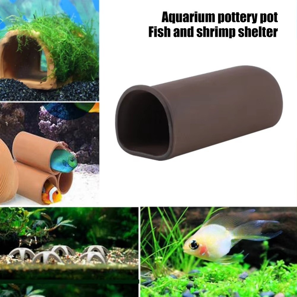 Playing Breeding Spawning Aqua - огляд і ціна Hide Cave Ceramic