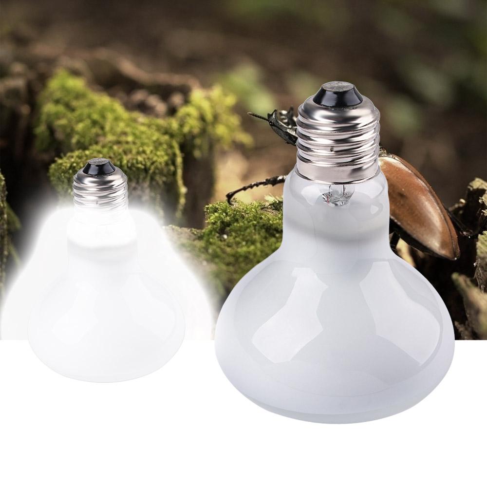 Lizard Temperature Controller  - огляд і ціна Basking Bulb Halogen