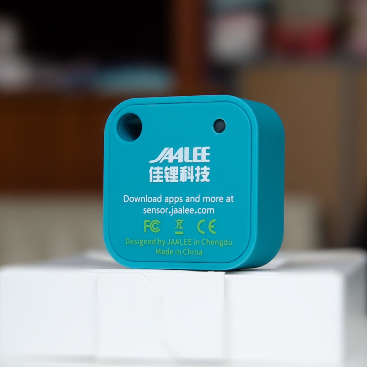 jaalee JHT Temperature/Humidit - огляд і ціна Digital Hygrometer Probe