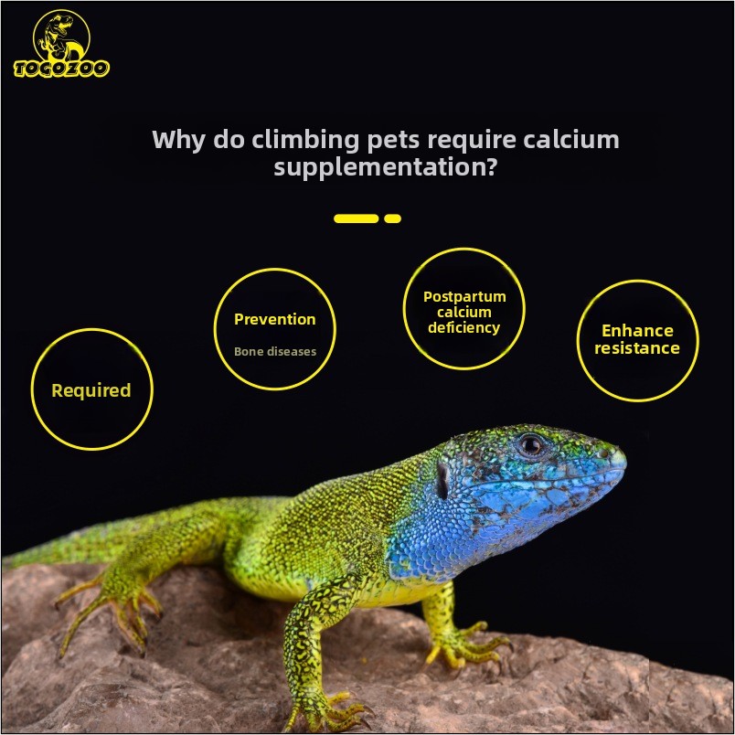 TOGOZOO WILDCAL Reptile Calciu - огляд і ціна Calcium Powder Reptile