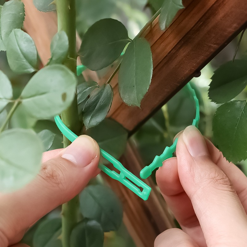 Wholesale Reusable Plant Fixed - огляд і ціна Vine Climbing Plastic