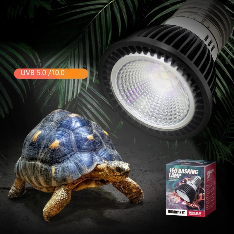 NOMOY Reptile 110/220V UVB+UVA - огляд і ціна Calcium Powder Reptile