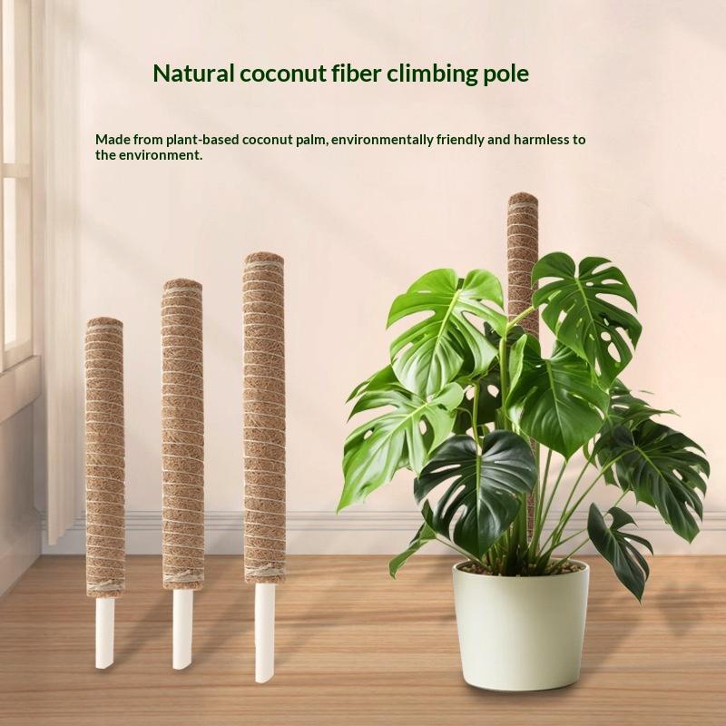 1Pcs Plant Growth Traction Rod - огляд і ціна Vine Climbing Plastic
