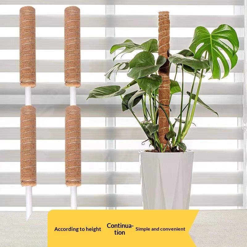 1Pcs Plant Growth Traction Rod - огляд і ціна Vine Climbing Plastic