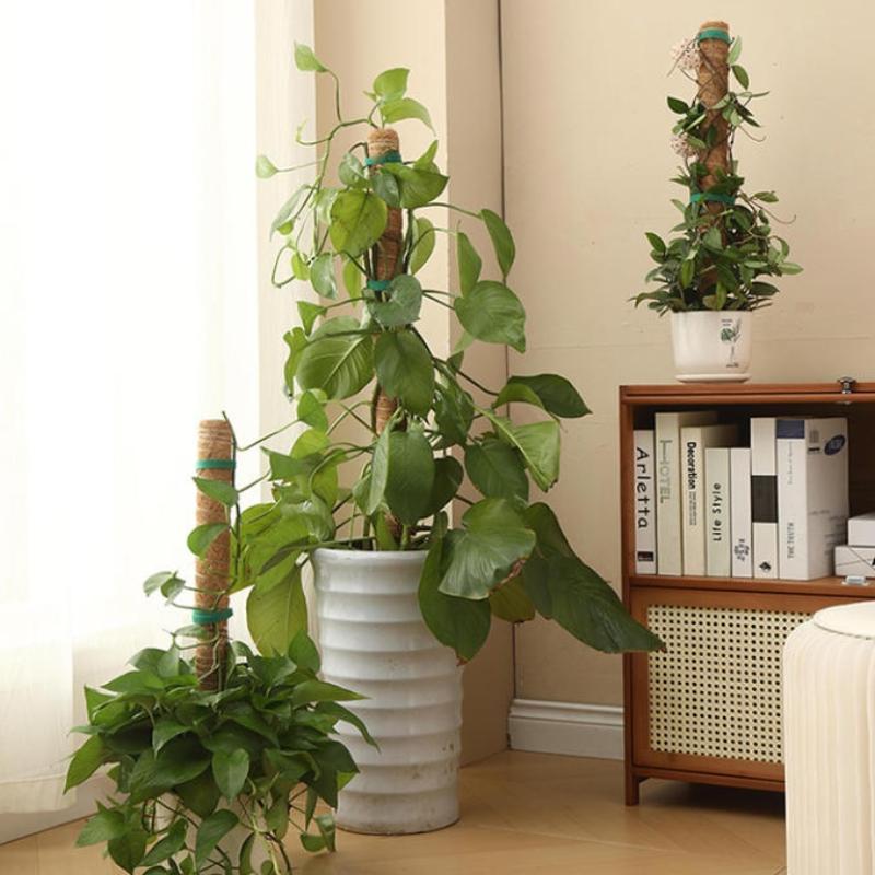 1Pcs Plant Growth Traction Rod - огляд і ціна Vine Climbing Plastic