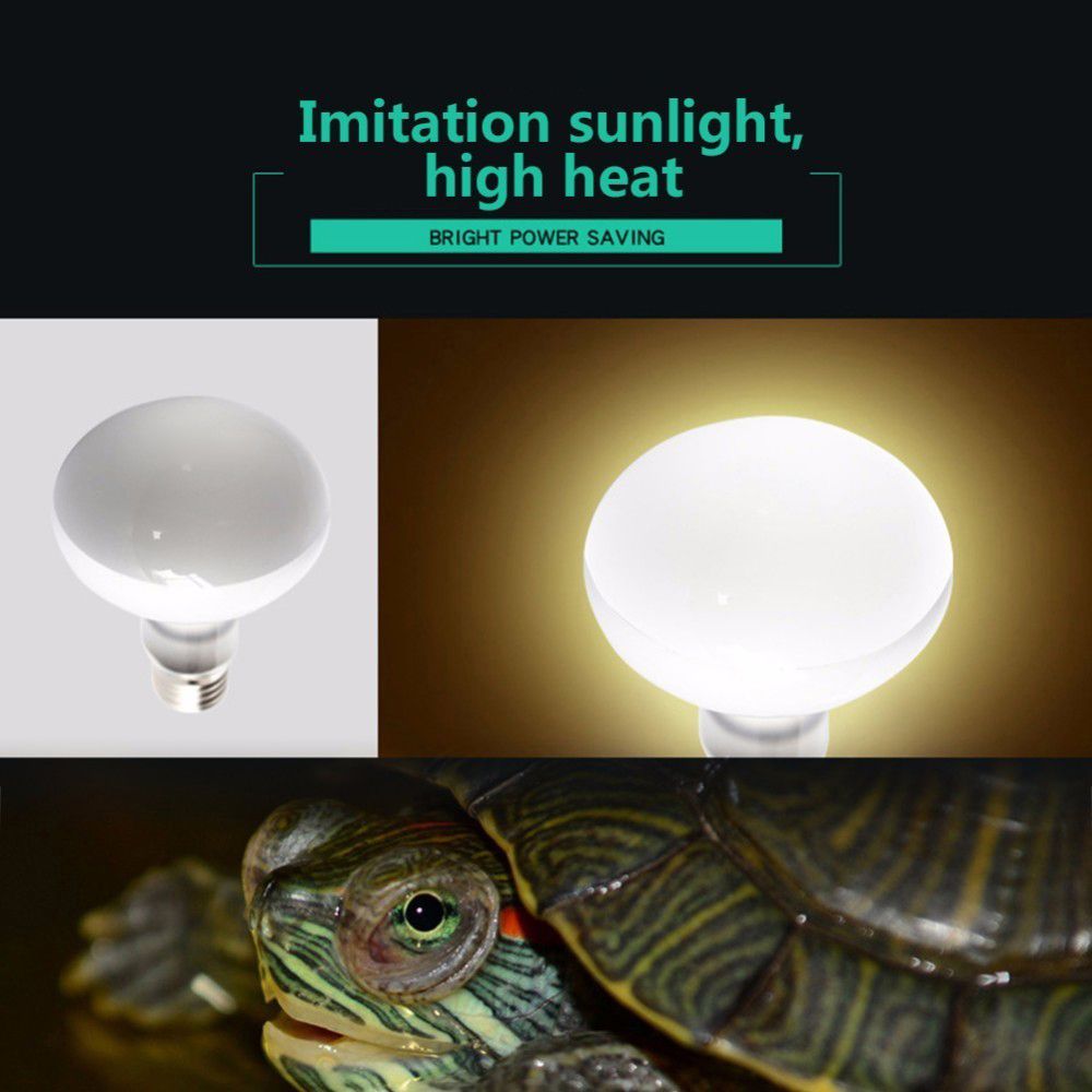 Amphibians Temperature Control - огляд і ціна Basking Bulb Halogen