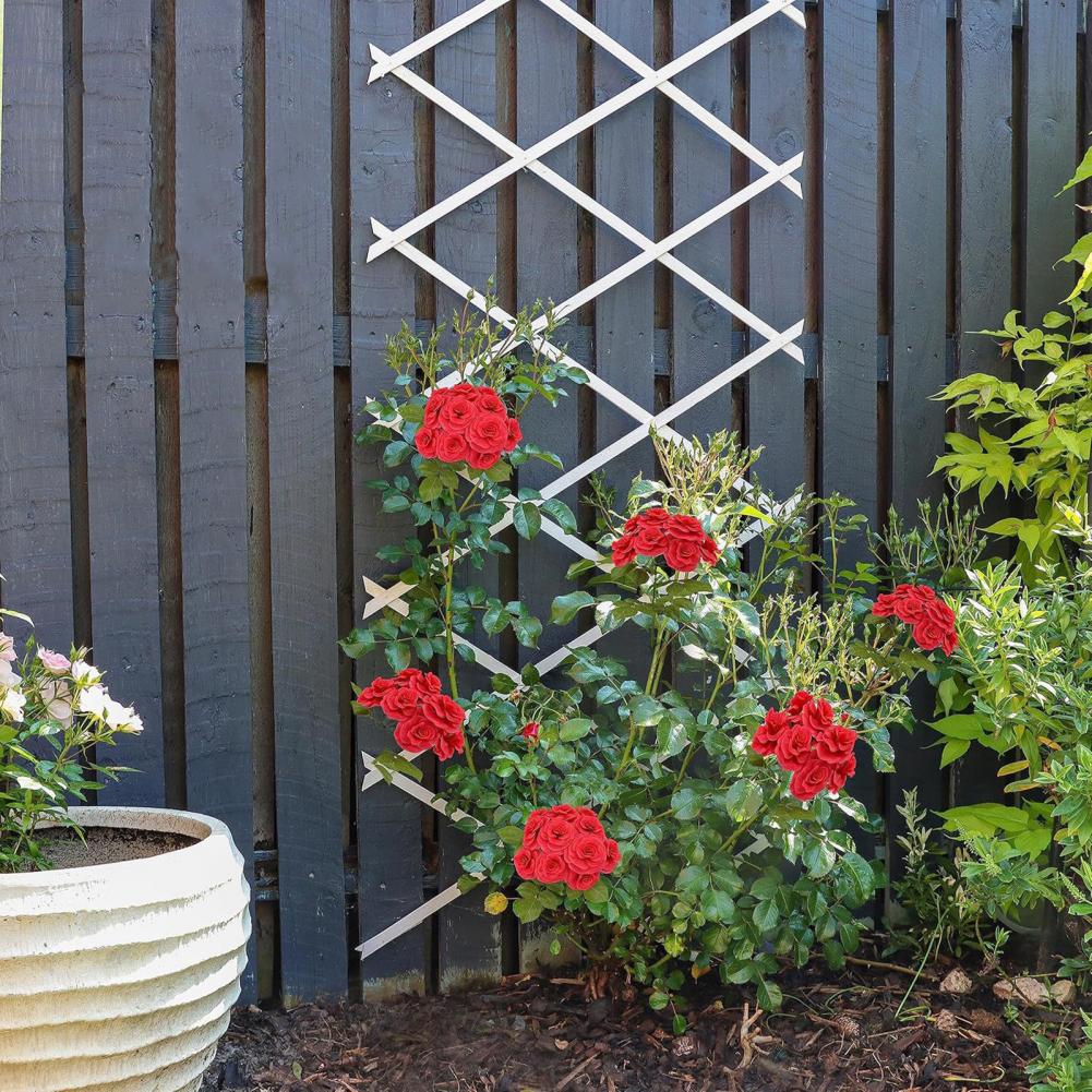 Expandable Garden Trellis 70 x - огляд і ціна Vine Climbing Plastic