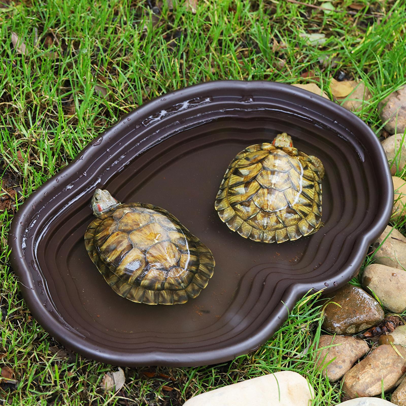 Reptile Bathing Dish Tortoise  - огляд і ціна Water Dish Reptile