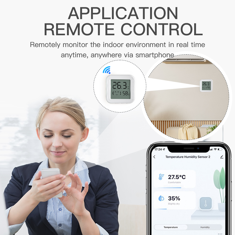 Bluetooth Temperature Humidity - огляд і ціна Digital Hygrometer Probe
