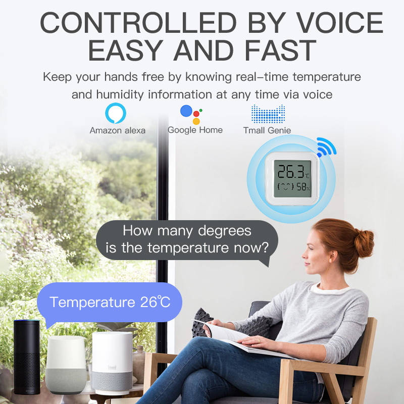 Bluetooth Temperature Humidity - огляд і ціна Digital Hygrometer Probe