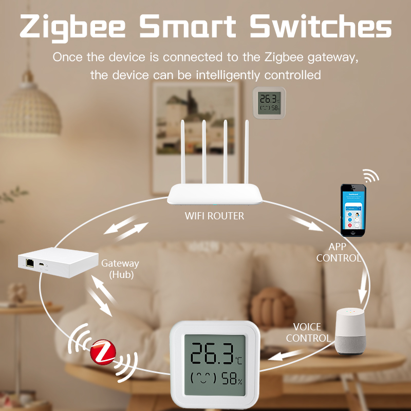 Bluetooth Temperature Humidity - огляд і ціна Digital Hygrometer Probe