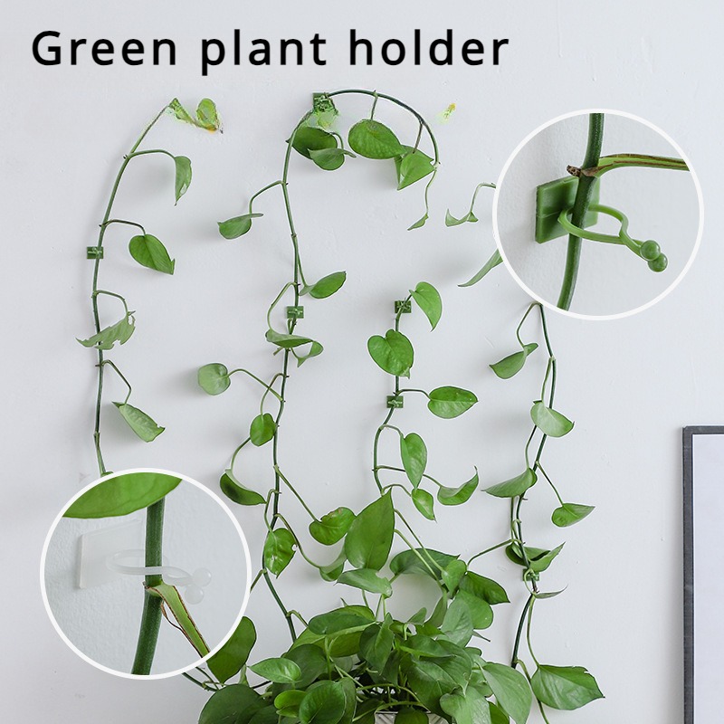10Pcs Plant Wall Fixing Hooks  - огляд і ціна Vine Climbing Plastic