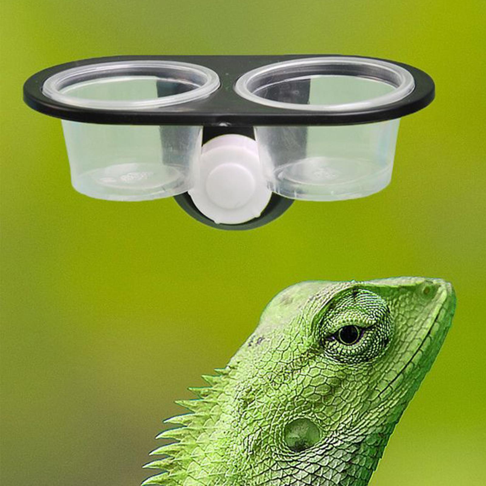 Gecko Food Dish Gecko Feeding  - огляд і ціна Water Dish Reptile