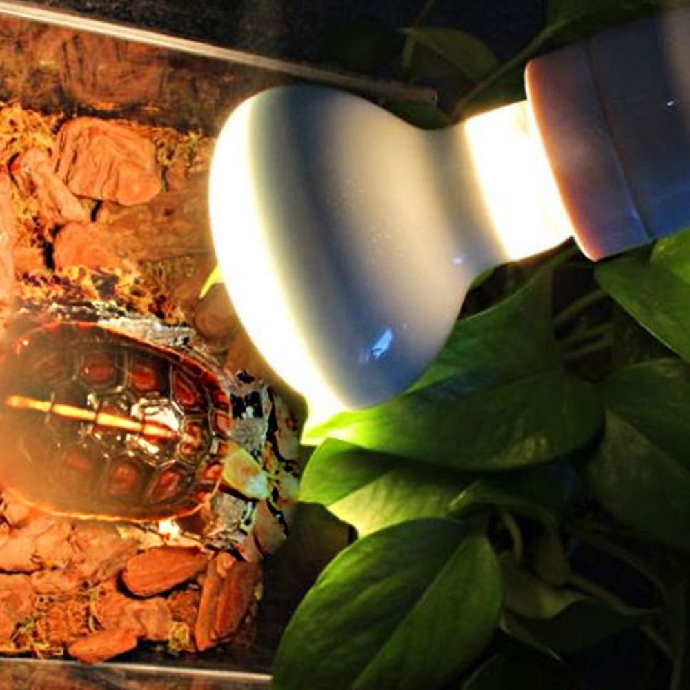 Turtle Heater Temperature Cont - огляд і ціна Basking Bulb Halogen