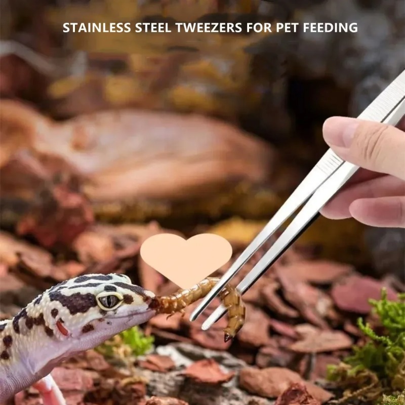 Stainless Multifuctional Steel - огляд і ціна Feeding Tong Stainless