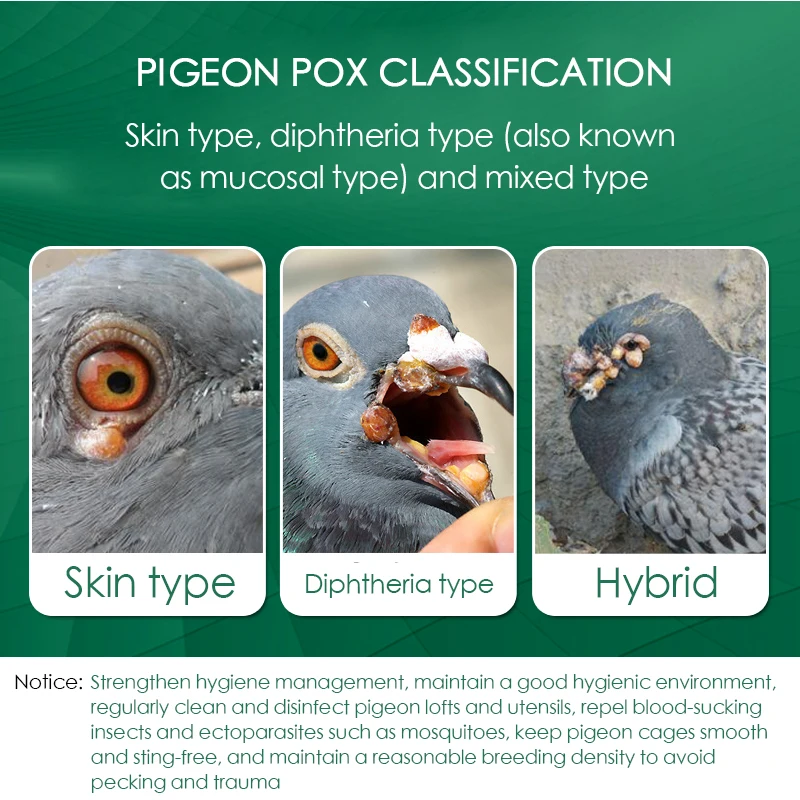 100 Tablets/Box Pigeon Pox Ora - огляд і ціна Vitamin D3 Reptile