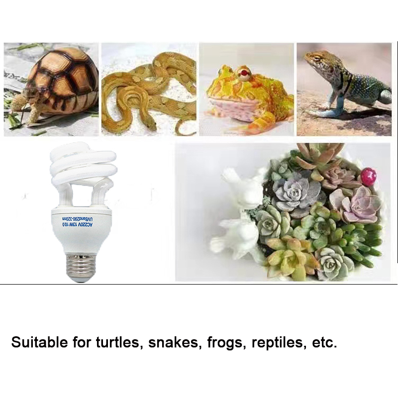E27 13W/26W Reptile Uvb Lamp   - огляд і ціна Calcium Powder Reptile