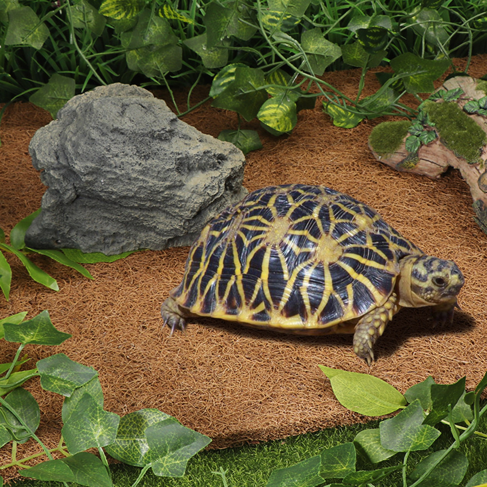 Natural Coconut Fiber Reptile  - огляд і ціна Substrate Coconut Fiber