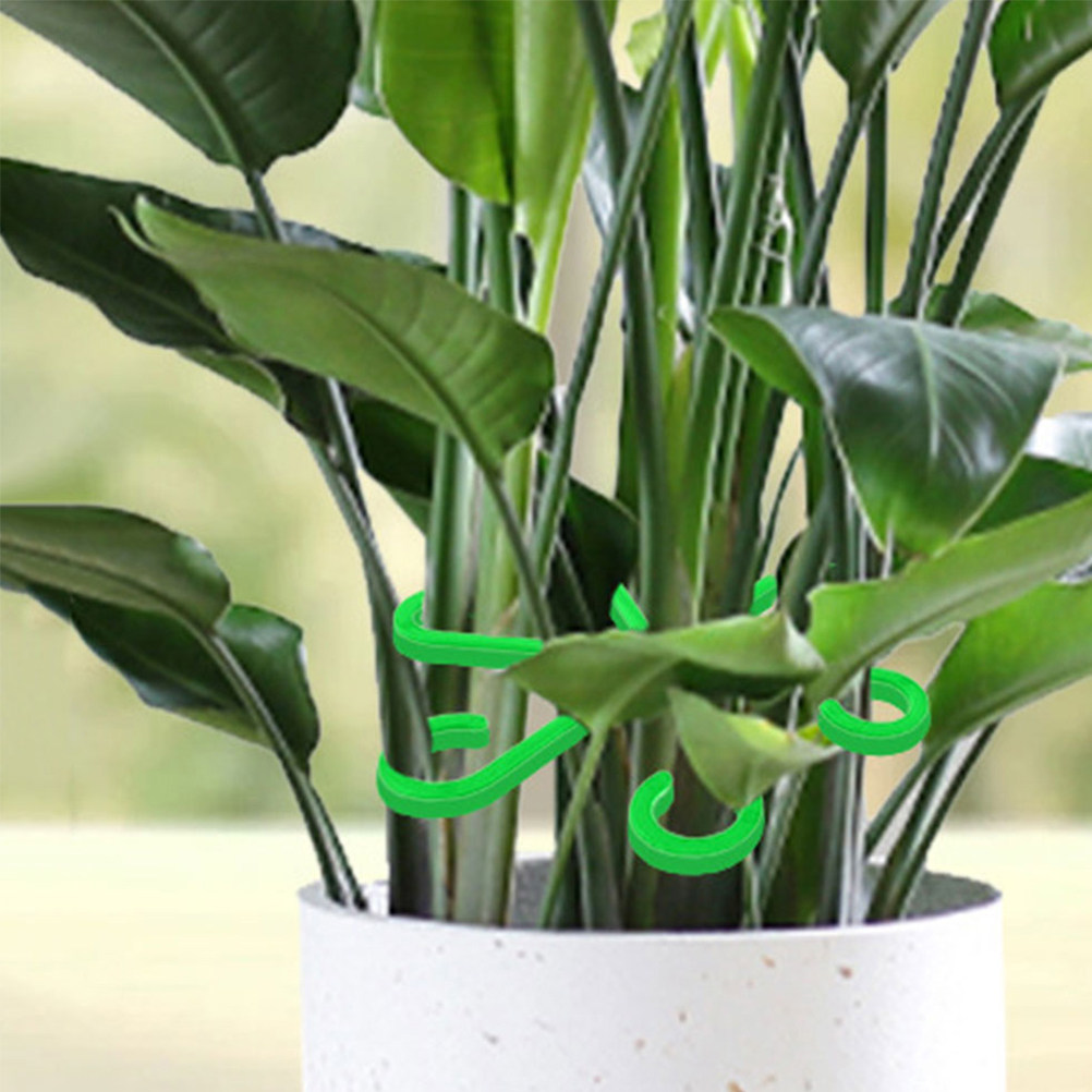 12Pcs Plant Stem Holders Plast - огляд і ціна Vine Climbing Plastic
