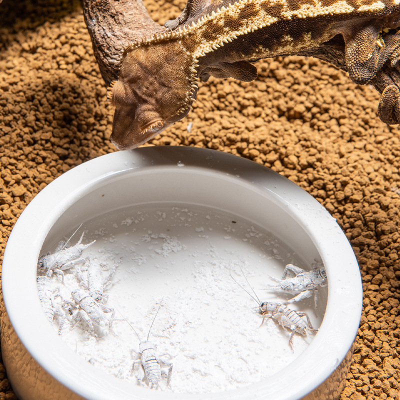 SuperRep Reptile Calcium Pro-V - огляд і ціна Vitamin D3 Reptile