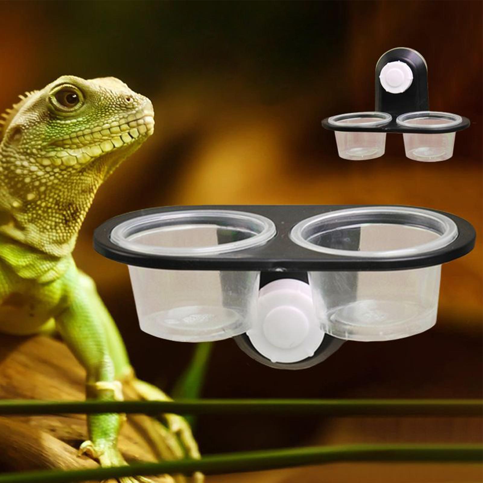 Gecko Food Dish Water Dish for - огляд і ціна Water Dish Reptile