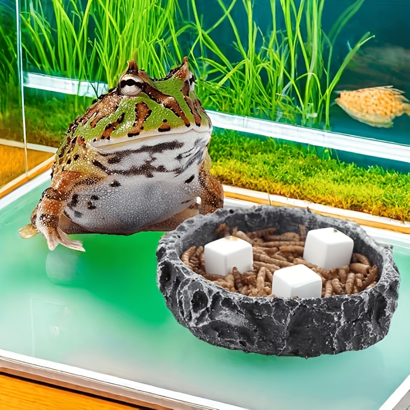 6 Pcs Fish Tank Calcium Block  - огляд і ціна Calcium Powder Reptile